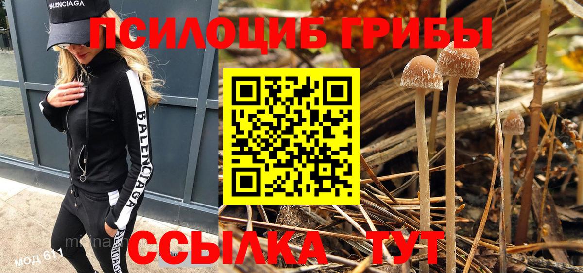 Белорецк  Галлюциногенные грибы Magic Shrooms  Вход с VPN  Галлюциногенные грибы Psilocybe 